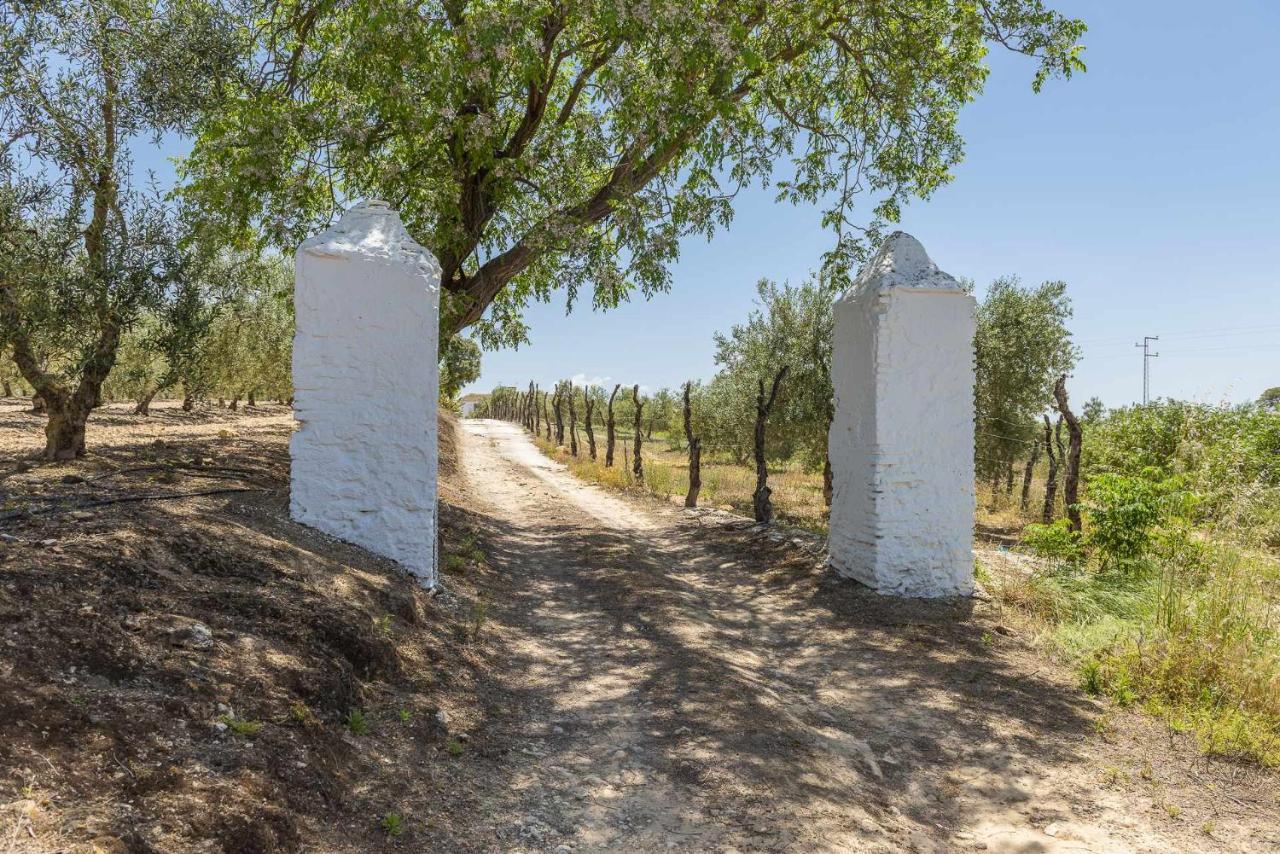 Hacienda San Antonio Villa Marchena  Bagian luar foto